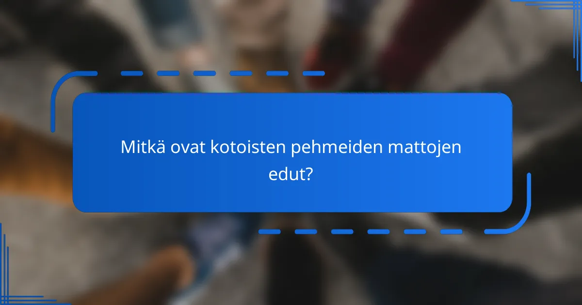 Mitkä ovat kotoisten pehmeiden mattojen edut?